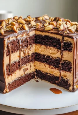 Chocolate Snickers Cake