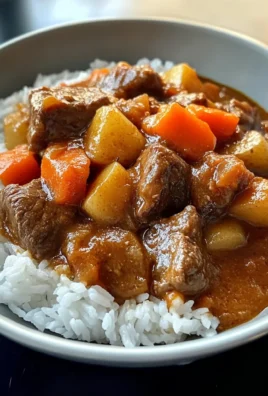 Savory Japanese beef Curry