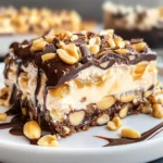 Turtle Lasagna Dessert